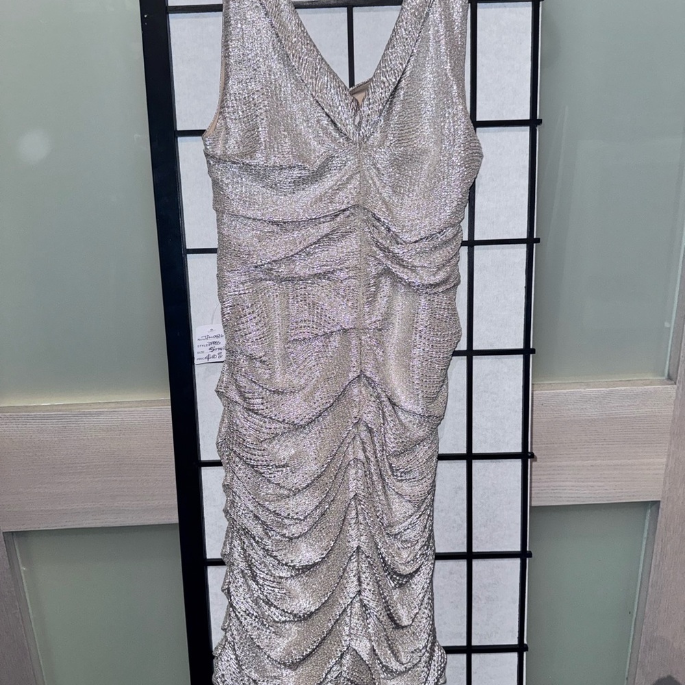 Elegant Silver Ruched Dress